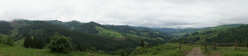 5. Епістоли з е-майлу і фейсбуку (фрагменти).