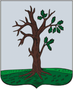 3. Наша козацька гілка Стародубщини.
